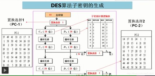 計算機系統(tǒng)與網(wǎng)絡(luò)安全技術(shù)筆記 中國大學(xué)慕課視角下的計算機網(wǎng)絡(luò)技術(shù)開發(fā)