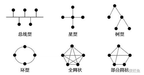 網(wǎng)絡(luò)技術(shù)一 計算機網(wǎng)絡(luò)概述與計算機網(wǎng)絡(luò)技術(shù)開發(fā)